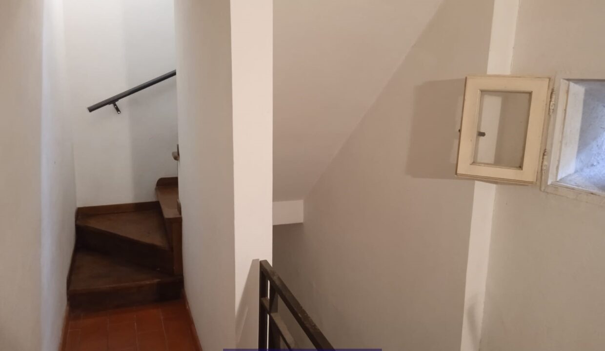 51991